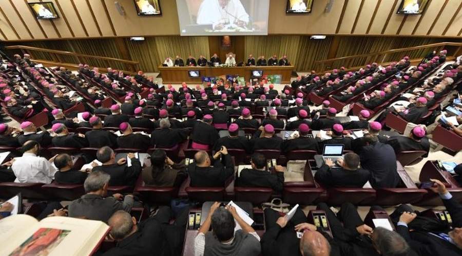 同道偕行世界主教会议464名与会者，包括两位中国大陆主教