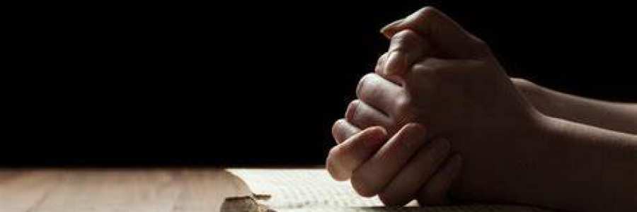 爵式灵修|分辨43