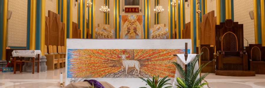 2025年四旬期第五主日花卉赏析