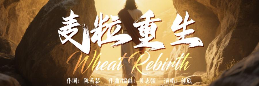 动态歌谱｜《贝志强作品集｜麦粒重生》