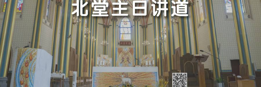 北堂主日讲道 | 复活期第五主日（王学群神父）