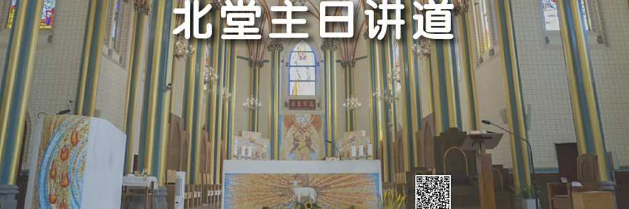 北堂主日讲道 | 常年期第十五主日（李山主教）