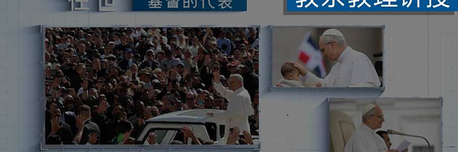 2025年7月30日教宗教理讲授（内含中文字幕视频）