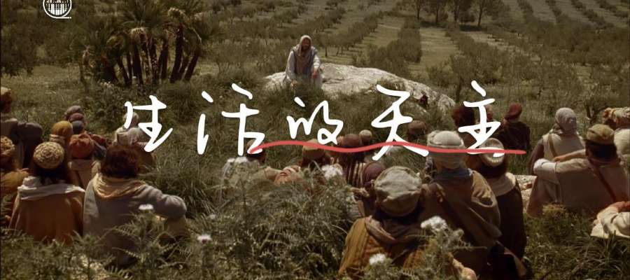 主日赞歌｜《生活的天主》丙年常年期第三十二主日