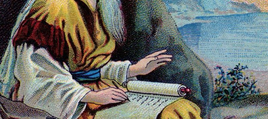 甲年将临期第二主日： 像棕榈一样茂盛，像黎巴嫩香柏一样成长