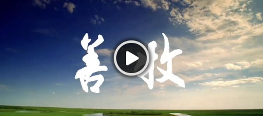 歌曲推荐｜《善牧》MV