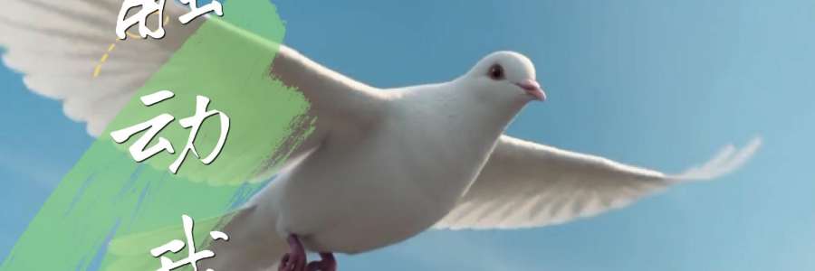 圣神降临节特别推荐｜《触动我》MV