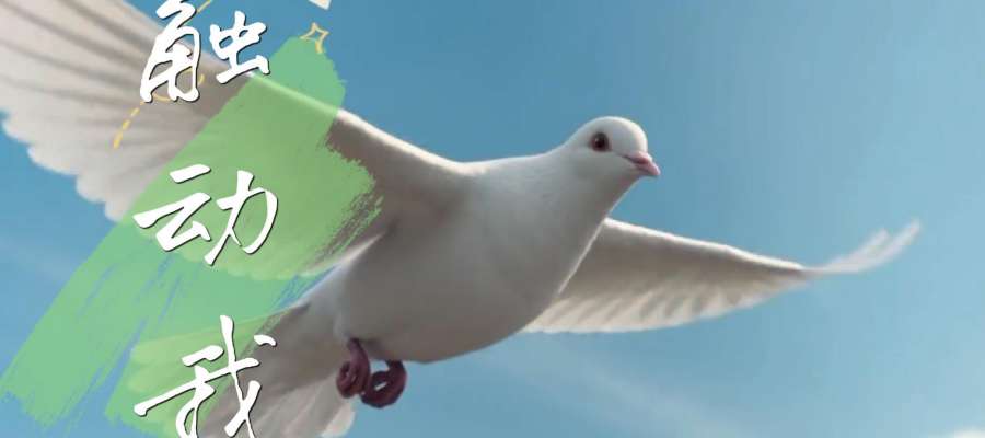 圣神降临节特别推荐｜《触动我》MV